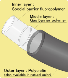 Type2