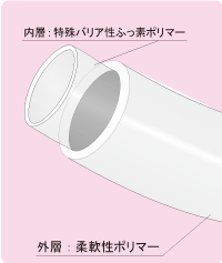 Type1