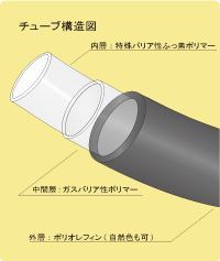 Type2